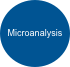 Microanalysis
